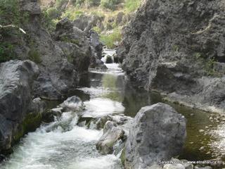 ndolito-11-06-2014 07-40-37